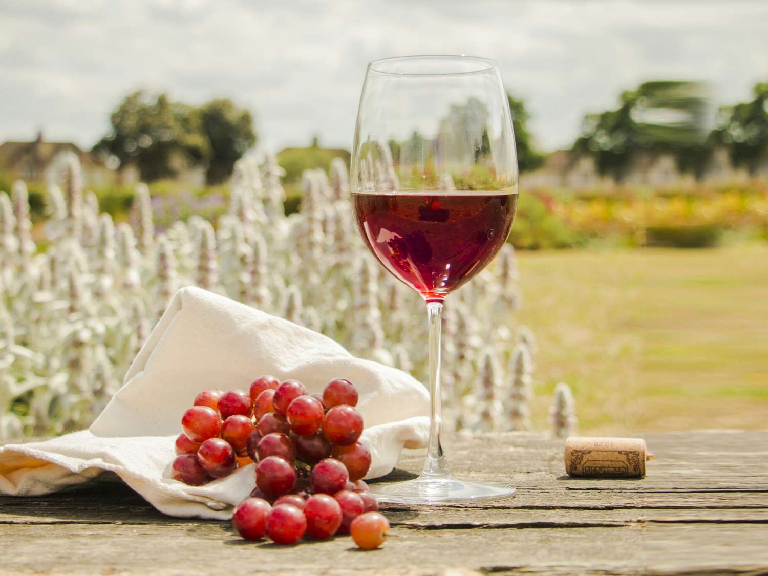 Novo estudo aponta que consumo de vinho faz bem para a flora intestinal