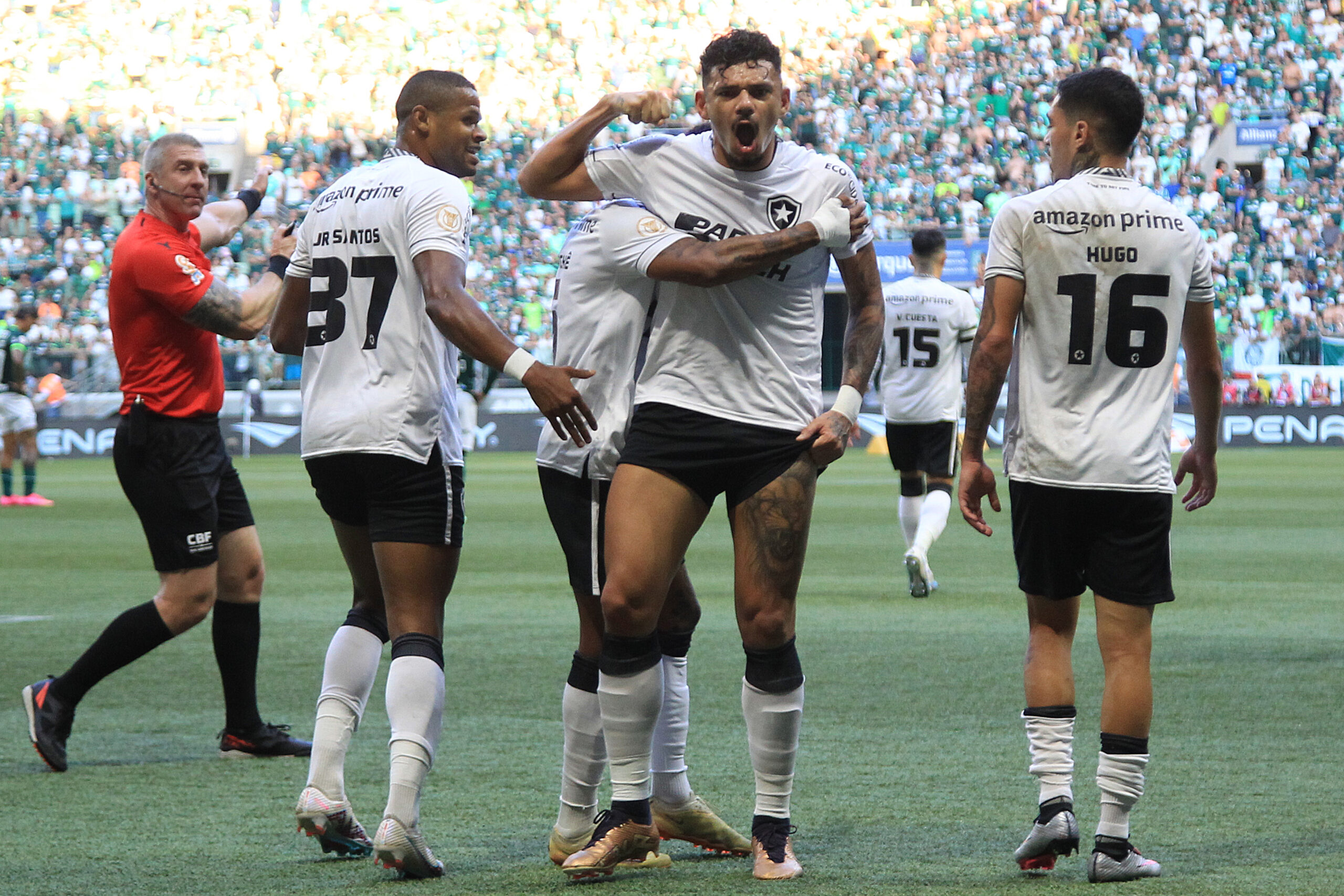 #Brasileirão: Botafogo vence Palmeiras com gol de Tiquinho e dispara na liderança