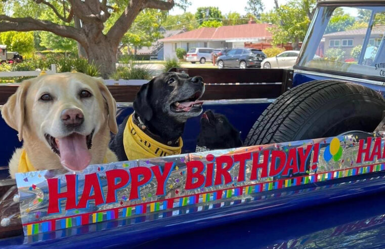 Idoso comemora aniversário de 100 anos na presença de 200 cachorros