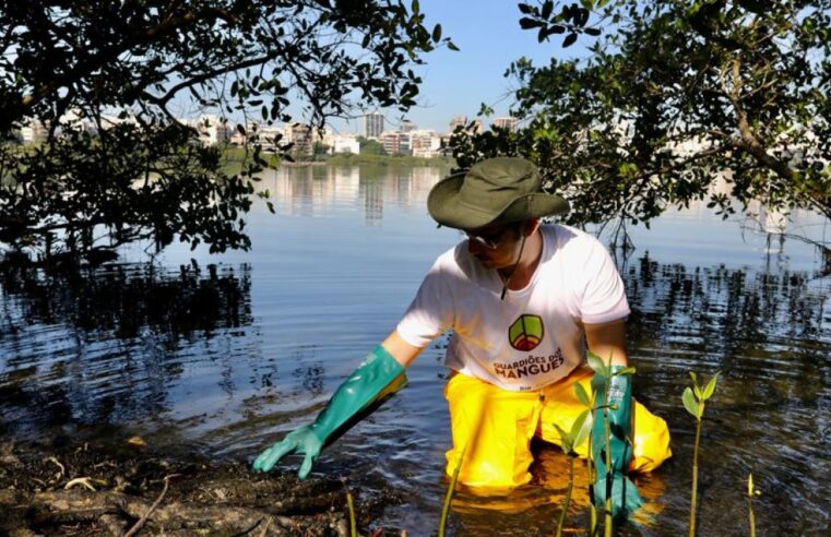 Prefeitura do Rio inaugura programa para preservação e recuperação de mangues da cidade