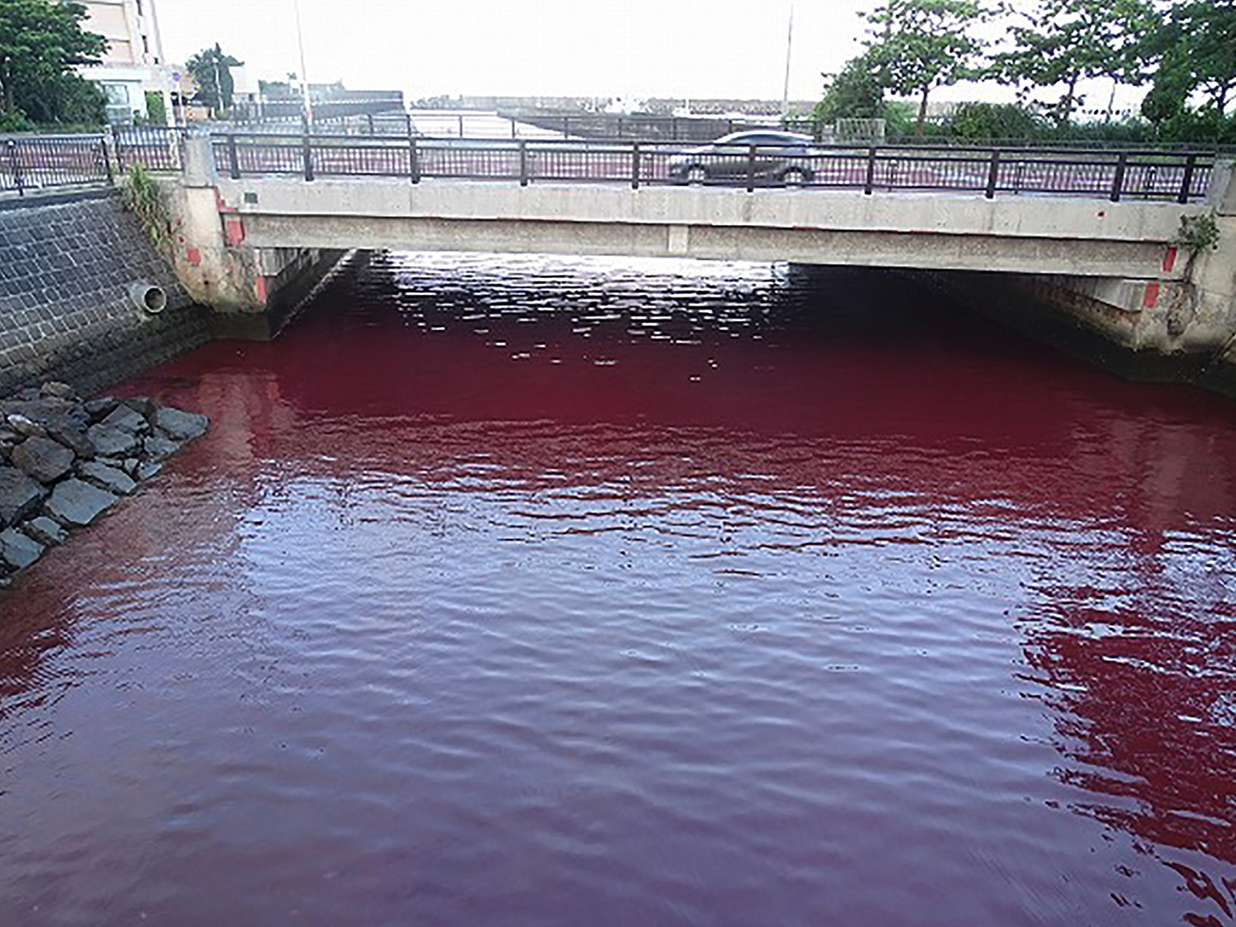 Água em baía do Japão fica vermelha após vazamento em fábrica de cerveja