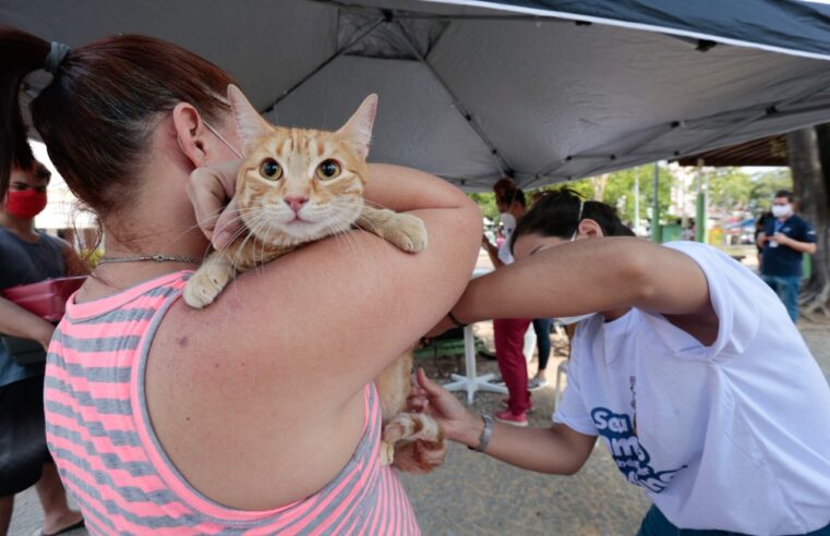 Prefeitura oferece vacinação e microchipagem para animais em Bangu