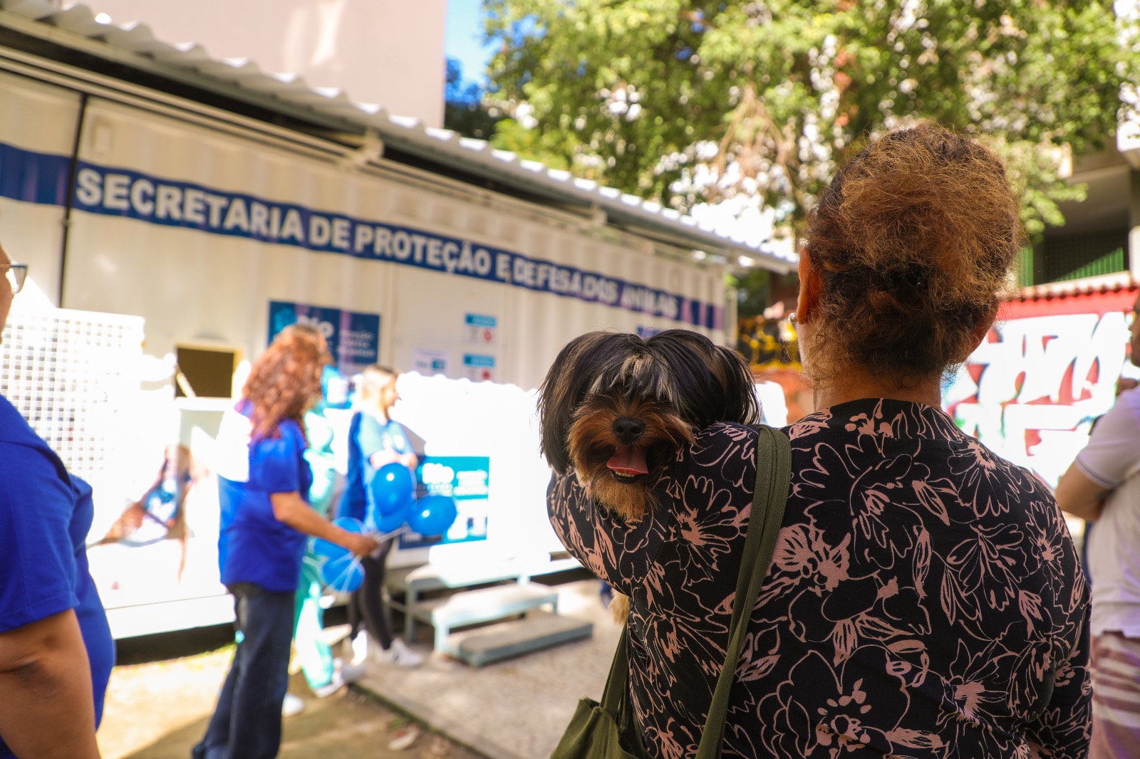 Programa ‘Bicho Rio’, da Secretaria de Proteção e Defesa dos Animais, bate recorde de atendimentos clínicos