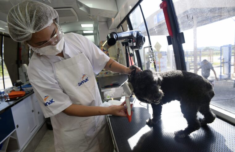 Mercadão de Madureira oferece atividades gratuitas para pets neste sábado (24)