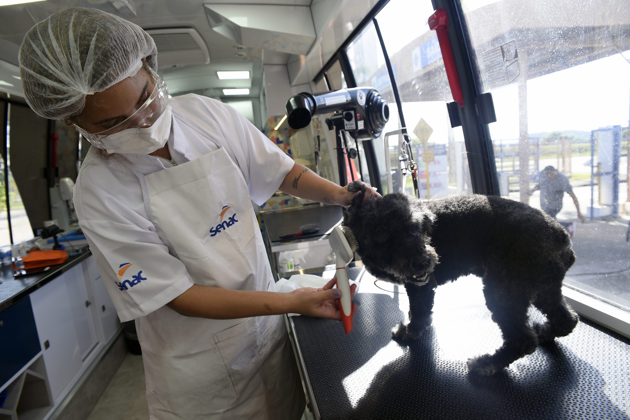 Mercadão de Madureira oferece atividades gratuitas para pets neste sábado (24)