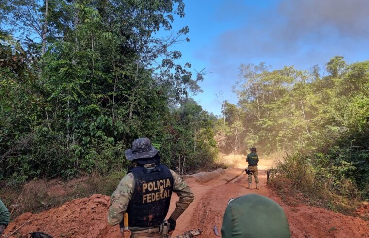 Polícia Federal realiza operação contra desmatamento ilegal no Parque Indígena do Xingu