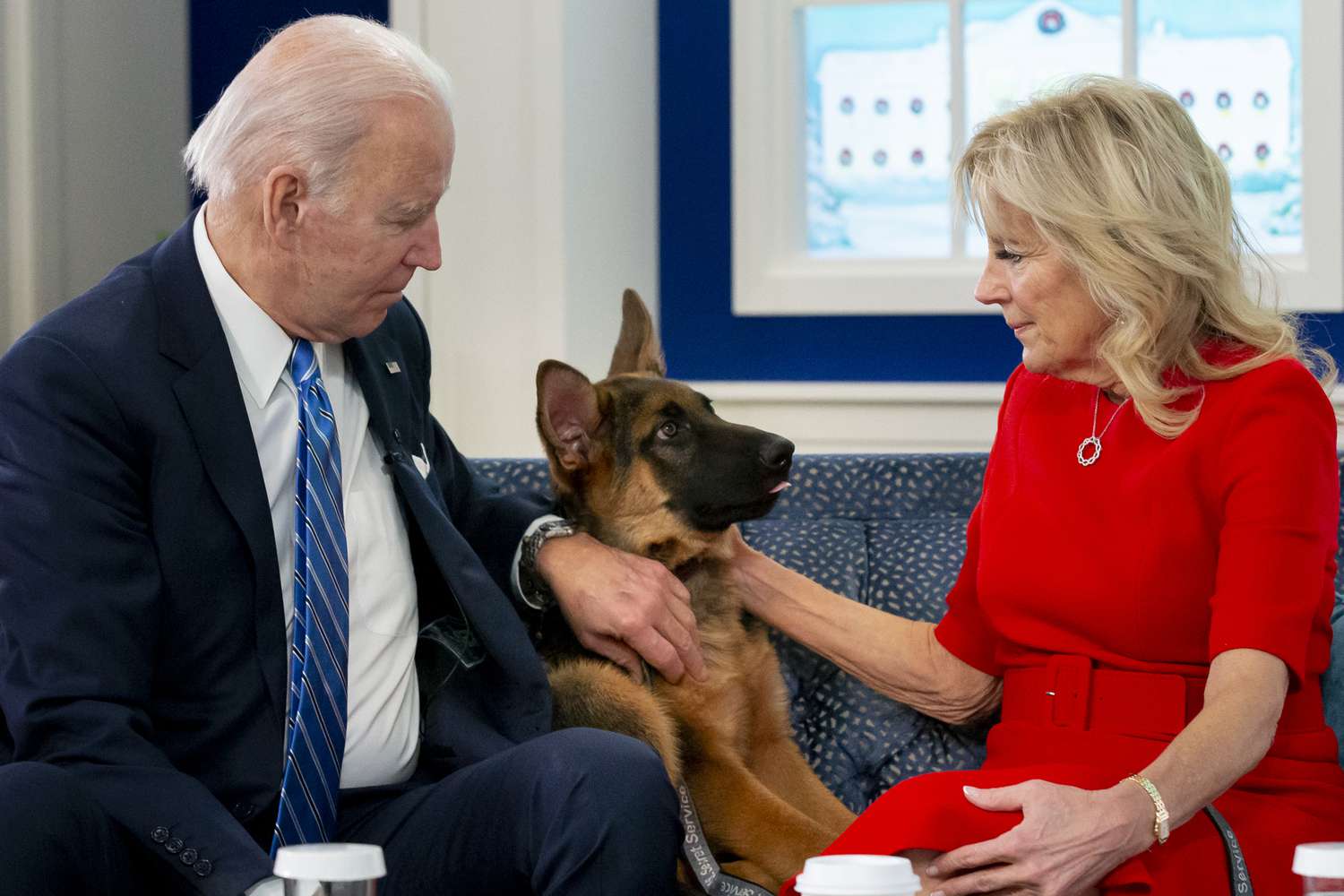 Cachorro de Joe Biden é acusado de morder funcionários da Casa Branca