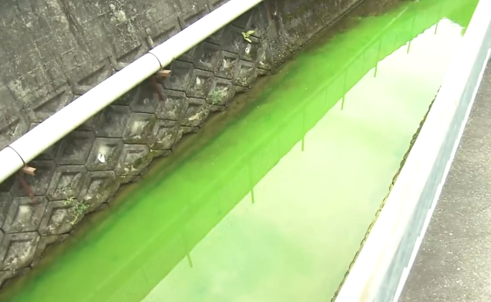 Cidade japonesa amanhece com o rio na cor verde