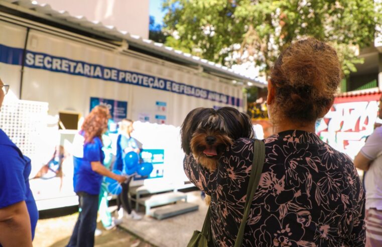 Prefeitura do Rio divulga horários para realização de castração em animais