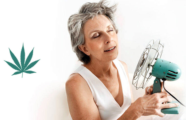 Cannabis está sendo utilizada para aliviar sintomas da menopausa