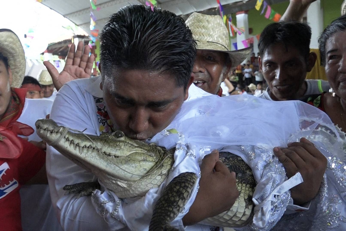 Prefeito mexicano realiza cerimônia de casamento com crocodilo