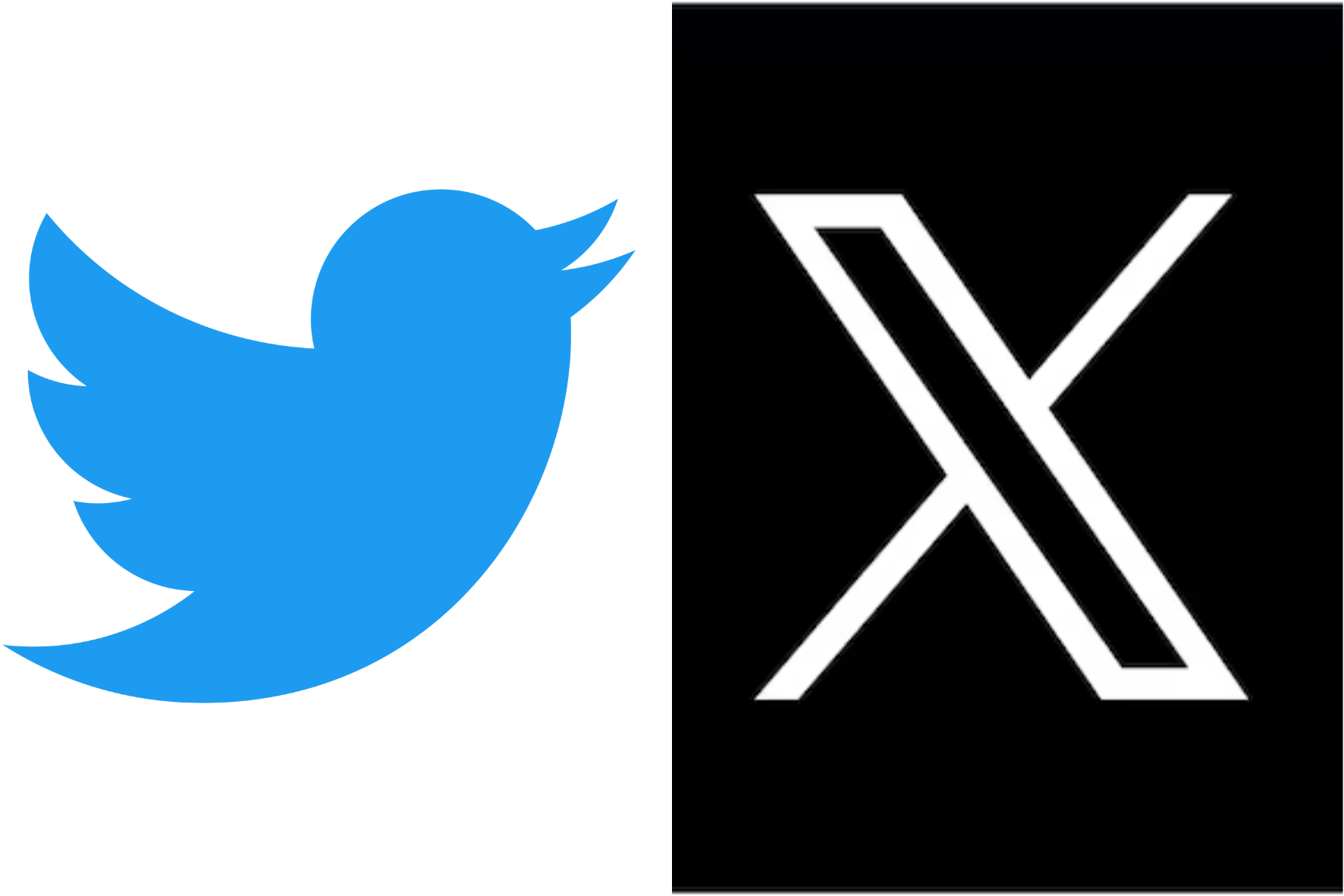 Elon Musk remove pássaro azul do Twitter e muda a logo para um X