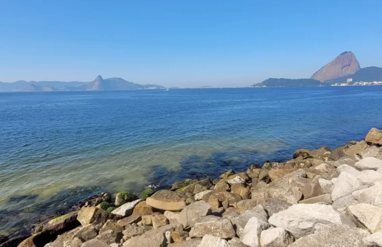 Praia do Flamengo é liberada para banho pelo Inea pela terceira semana consecutiva