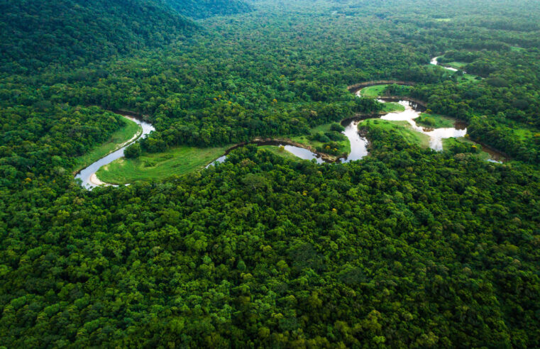 Desmatamento na Amazônia diminui, mas aumenta no Cerrado