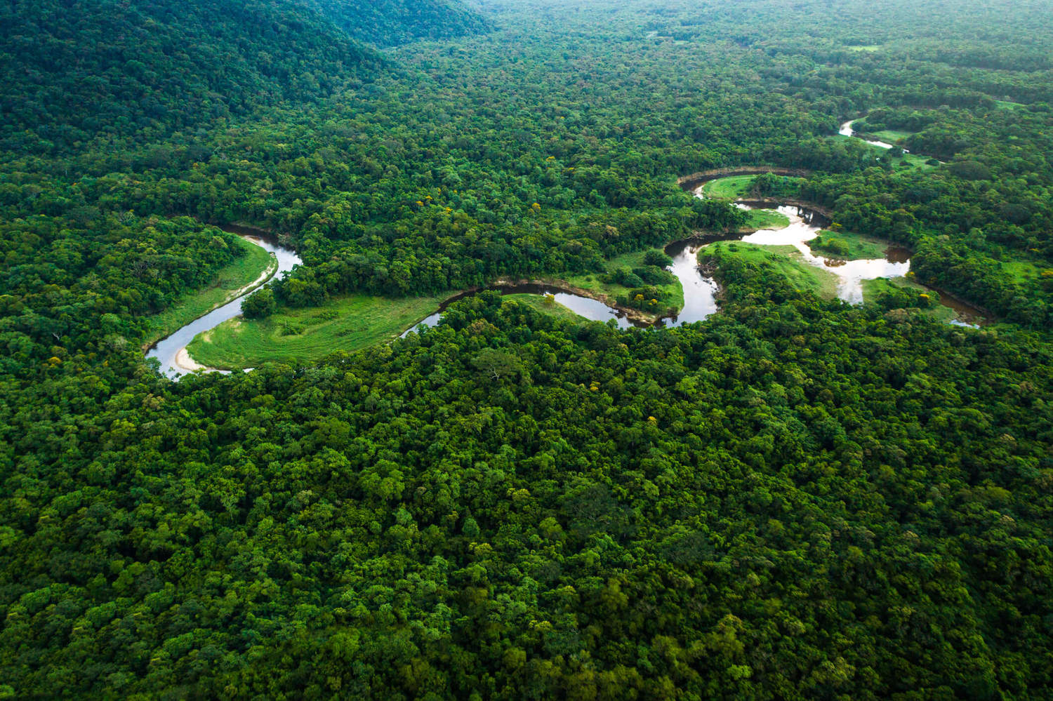 Desmatamento na Amazônia diminui, mas aumenta no Cerrado