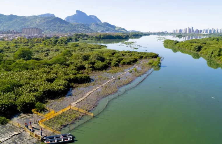 Licença ambiental é concedida e obras para a despoluição do Complexo Lagunar da Barra da Tijuca começam em novembro