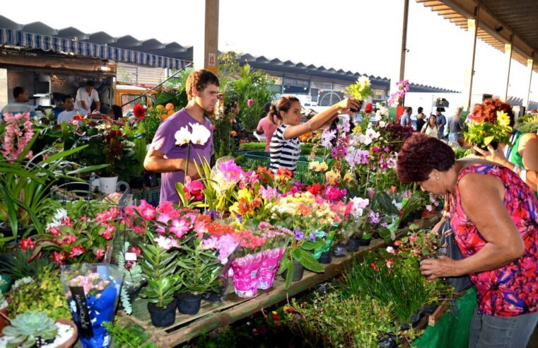 Feira das Flores: Via Parque Shopping recebe edição especial do evento para o Dia dos Avós