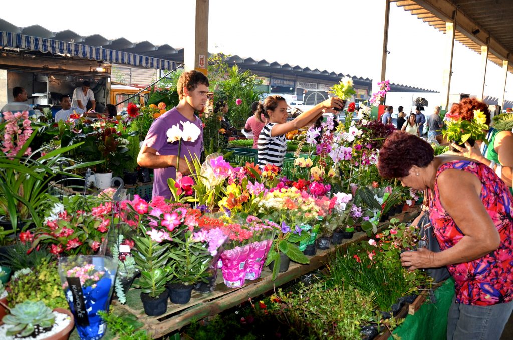 Feira das Flores: Via Parque Shopping recebe edição especial do evento para o Dia dos Avós