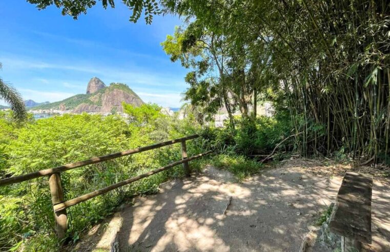 Mirante do Pasmado: opção carioca de turismo pouco conhecida do grande público oferece belas paisagens e história