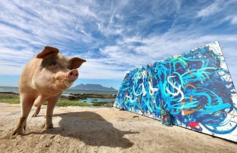 Porca pintora já vendeu quase R$ 5 milhões em arte