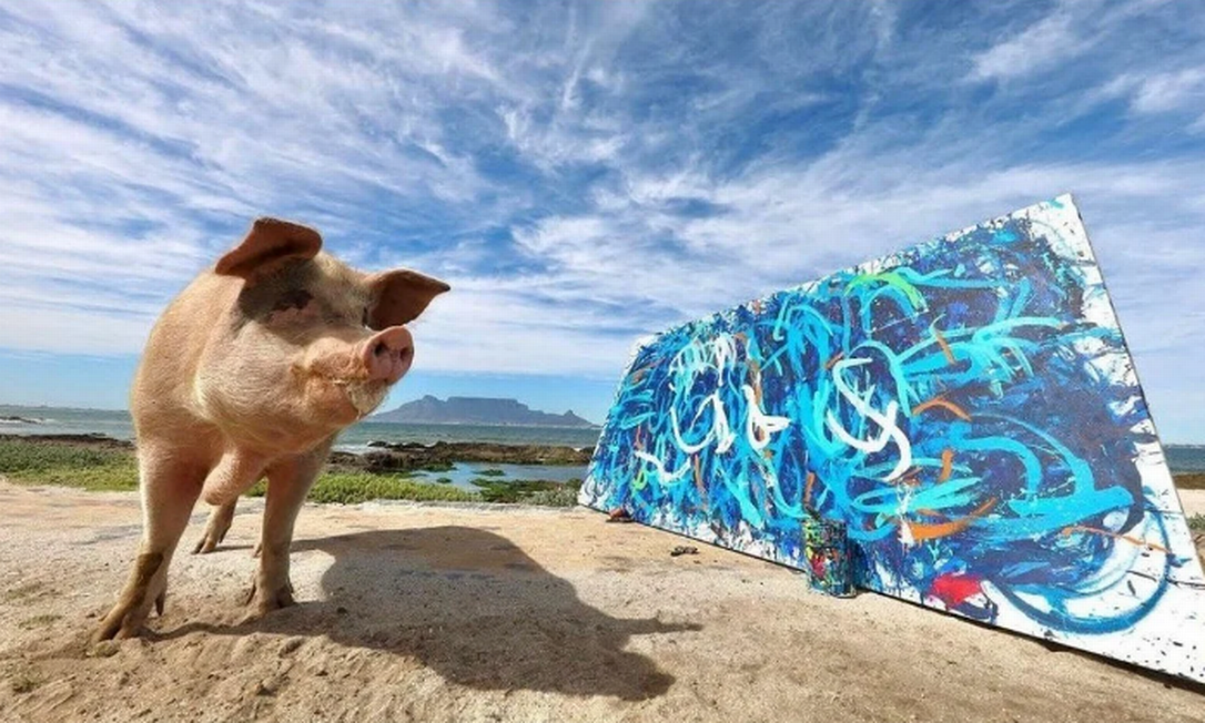 Porca pintora já vendeu quase R$ 5 milhões em arte