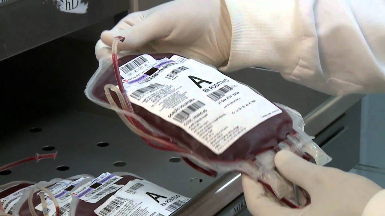 Produto da Fiocruz detecta bolsas de sangue com malária