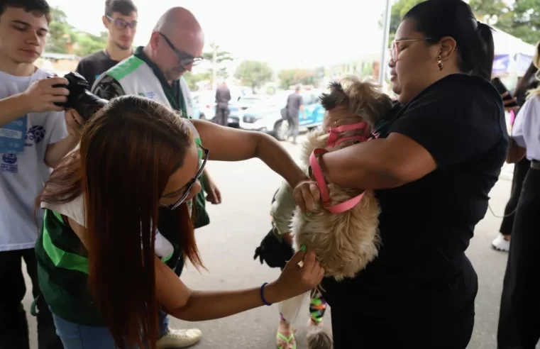 Campanha de Vacinação Antirrábica acontece nesta terça-feira, em Campo do Martins, em São João de Meriti