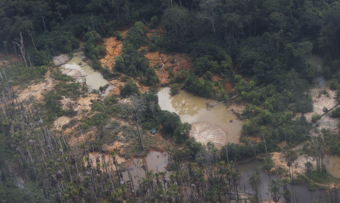 Ataque a tiros na Terra Yanomami mata criança e deixa cinco indígenas feridos