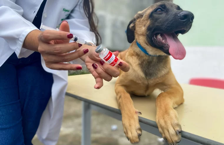 Vacinação contra raiva canina começa na fronteira com a Bolívia