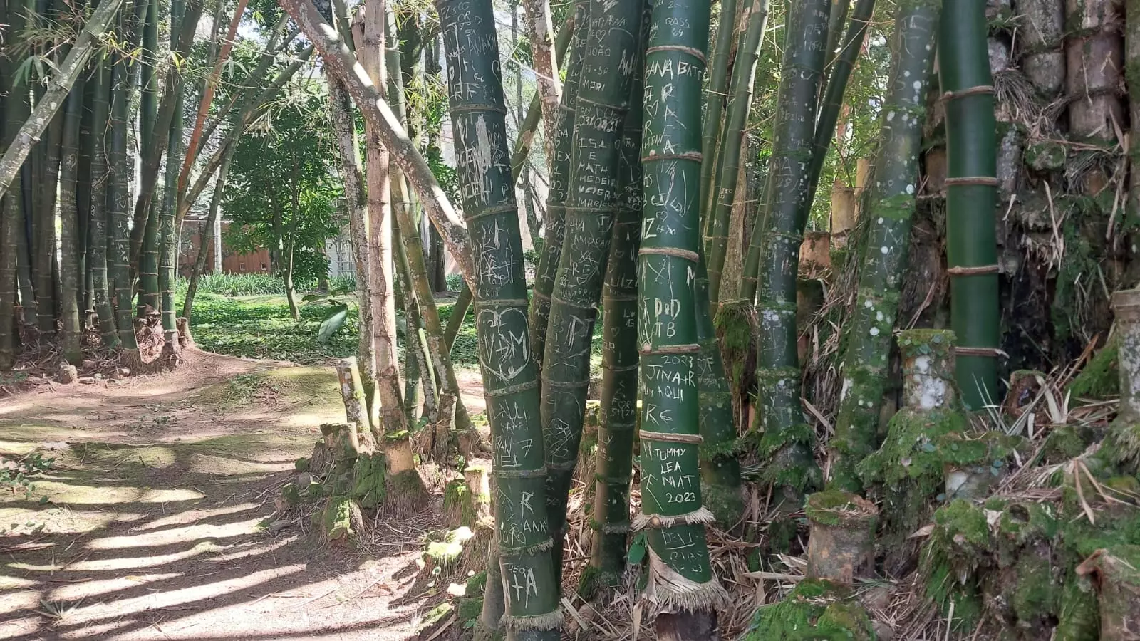 Jardim Botânico faz campanha para visitantes cuidarem melhor do espaço