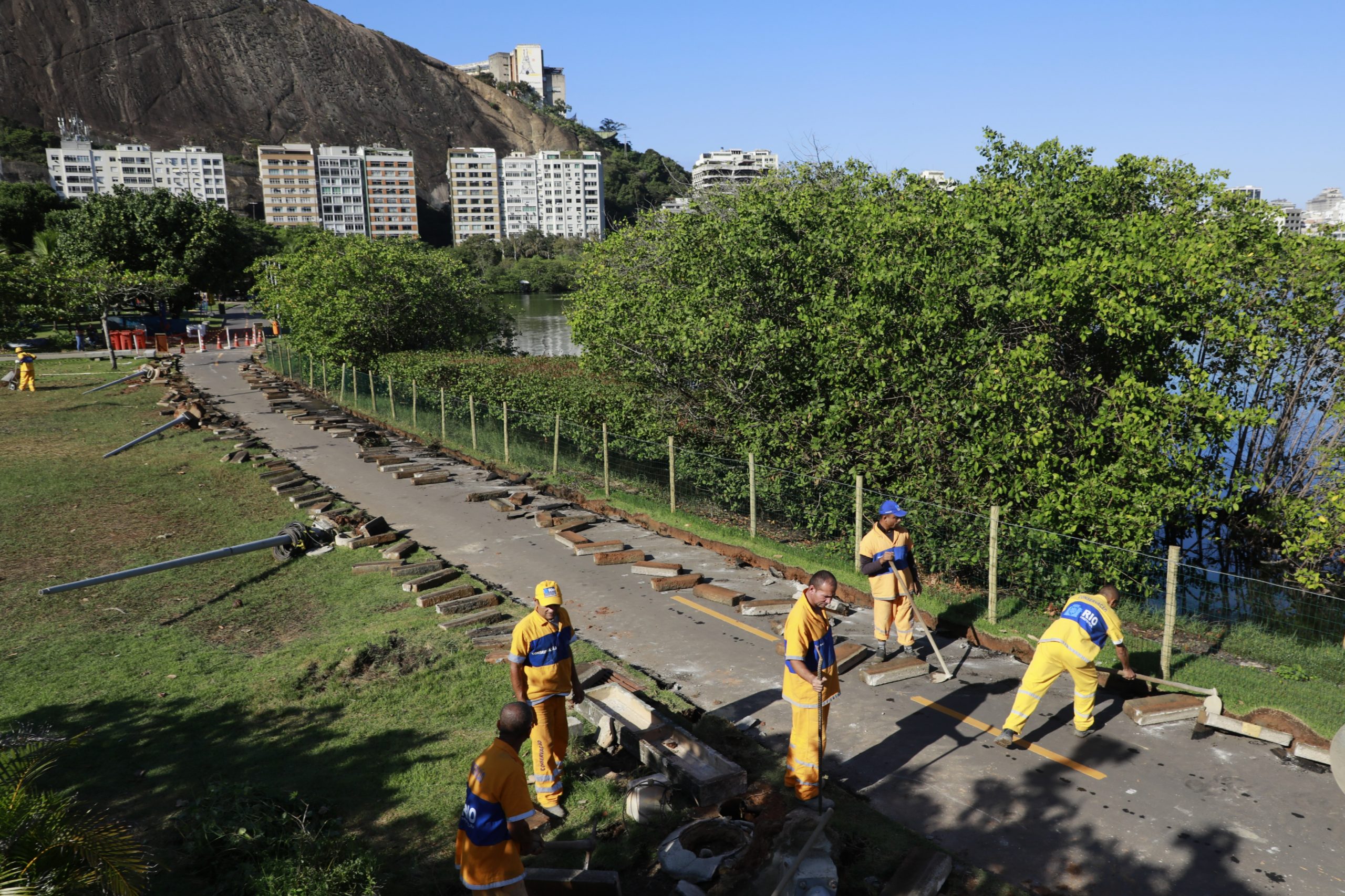 Área naturalizada da Lagoa Rodrigo de Freitas é fechada para evitar vandalismo