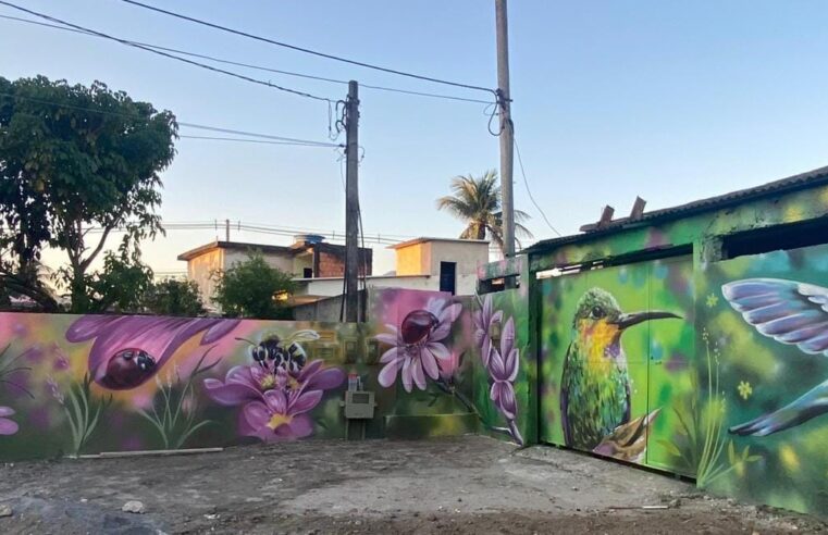 Campo Grande ganha mural pintado por artista baiano