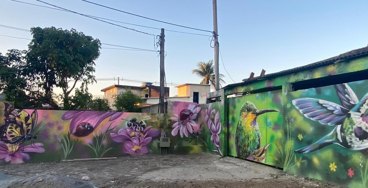 Campo Grande ganha mural pintado por artista baiano