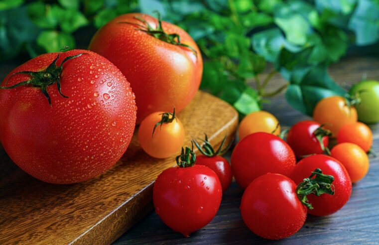 Tomate ajuda a prevenir o câncer de próstata e fortalece a imunidade