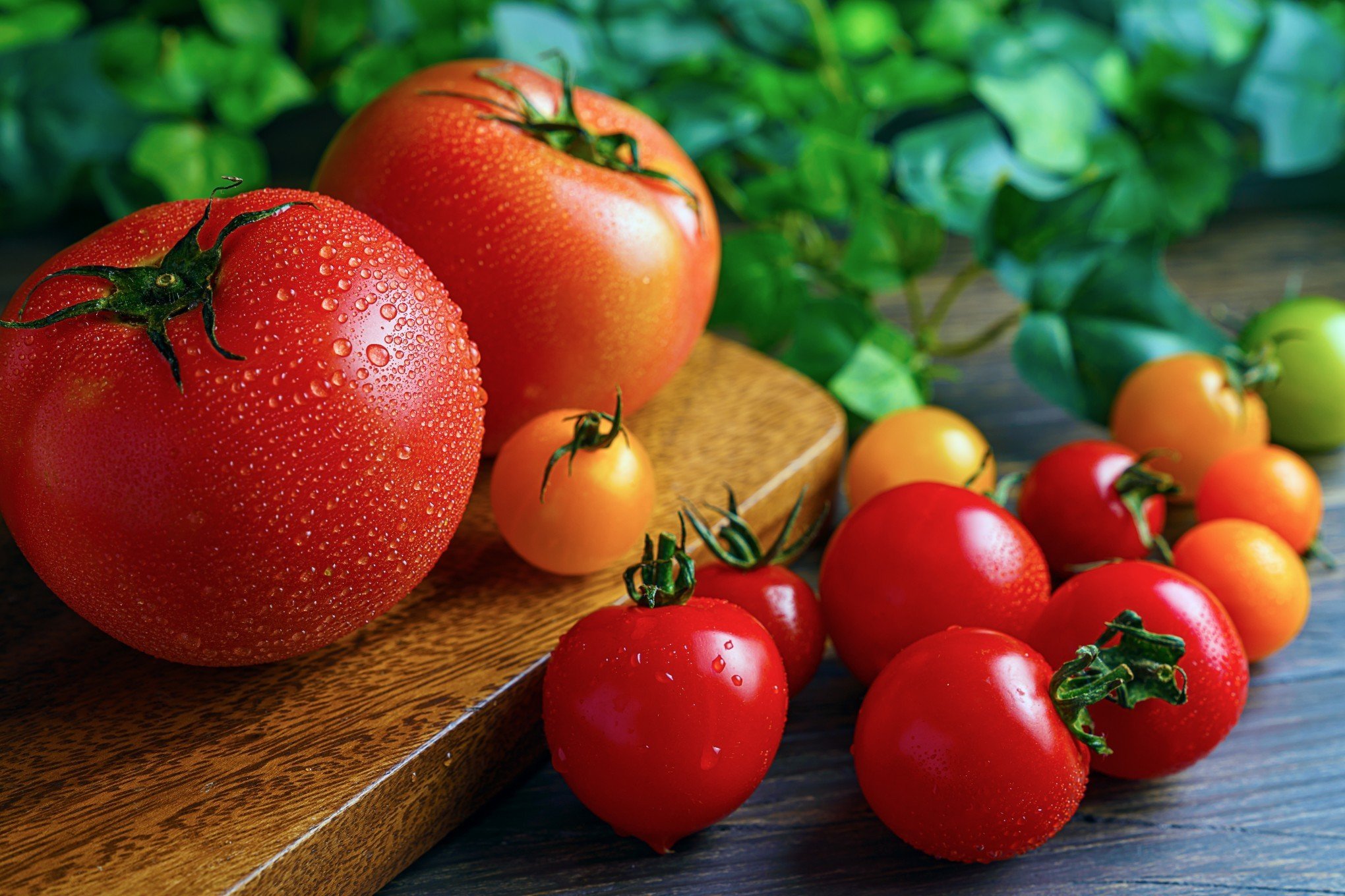 Tomate ajuda a prevenir o câncer de próstata e fortalece a imunidade