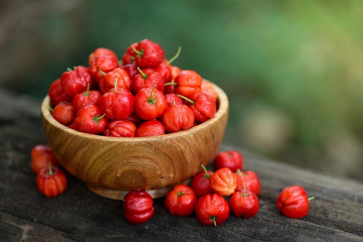 Acerola é fonte rica em vitamina C e auxilia na digestão