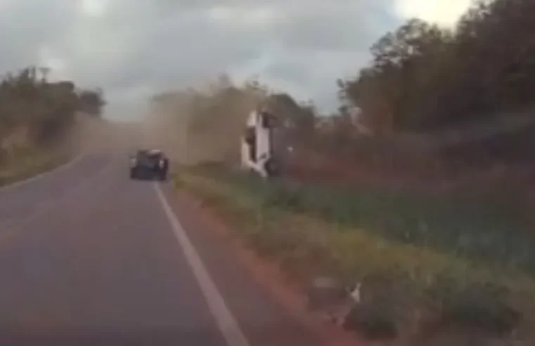 Abelha assusta motorista e carro capota cinco vezes