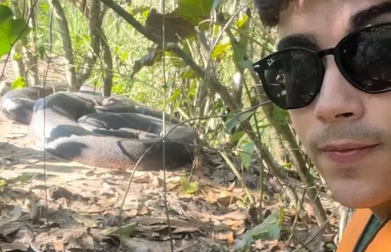 Jovem viaja 1,5 km para encontrar cobras gigantes e viraliza
