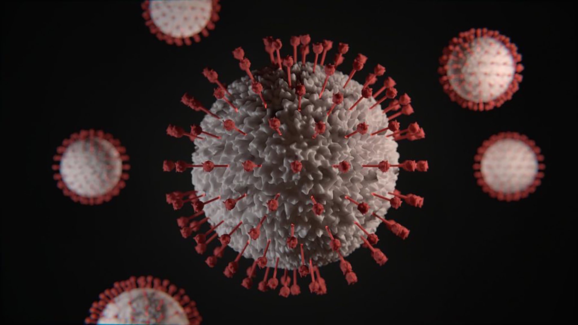Nova cepa do coronavírus EG.5 é classificada como variante de interesse pela OMS