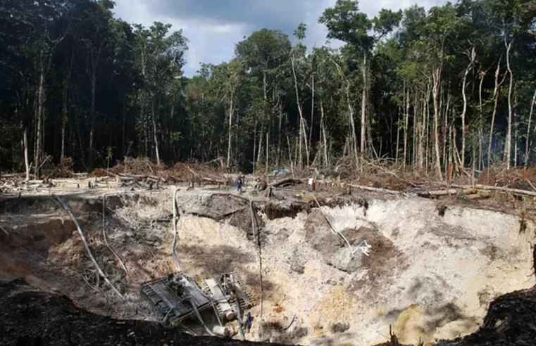 Brasil e Bolívia lideram ranking de perda florestal amazônica