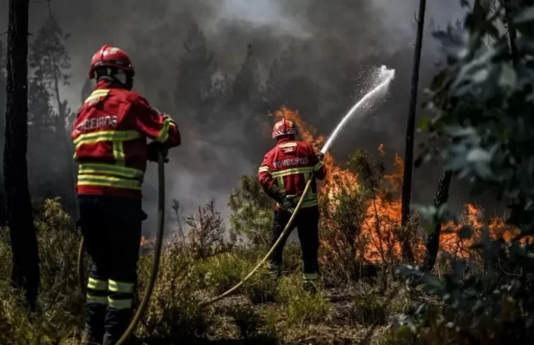 Mais de mil pessoas deixam suas casas em Portugal devido a incêndios florestais