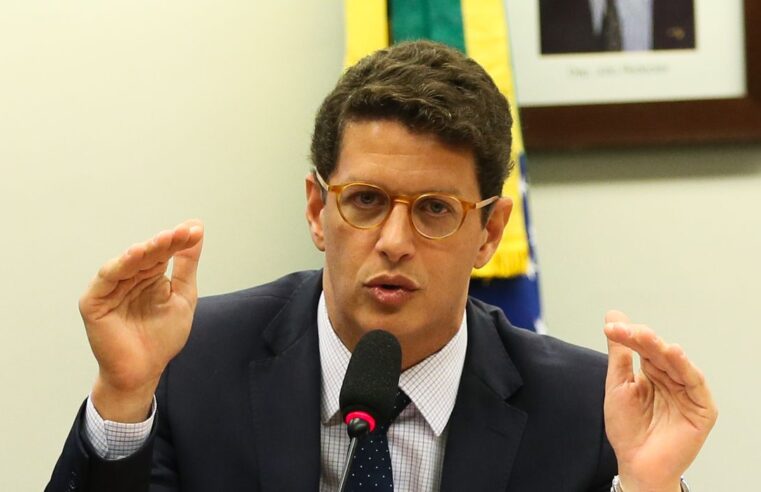 Ricardo Salles vira réu em ação que apura exportação ilegal de madeira