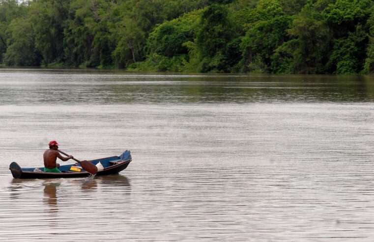 Amazônia Legal terá linha de crédito de U$ 250 milhões para projetos de bioeconomia