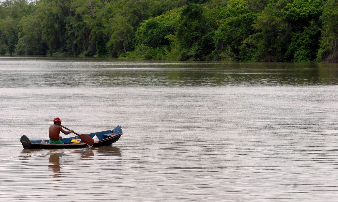 Amazônia Legal terá linha de crédito de U$ 250 milhões para projetos de bioeconomia