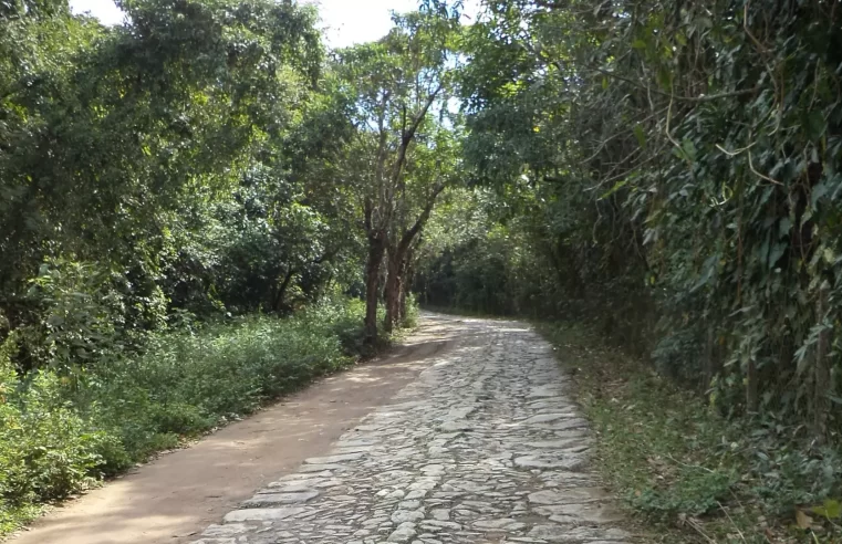 Estrada Real do Comércio: primeira via brasileira aberta para transporte do café