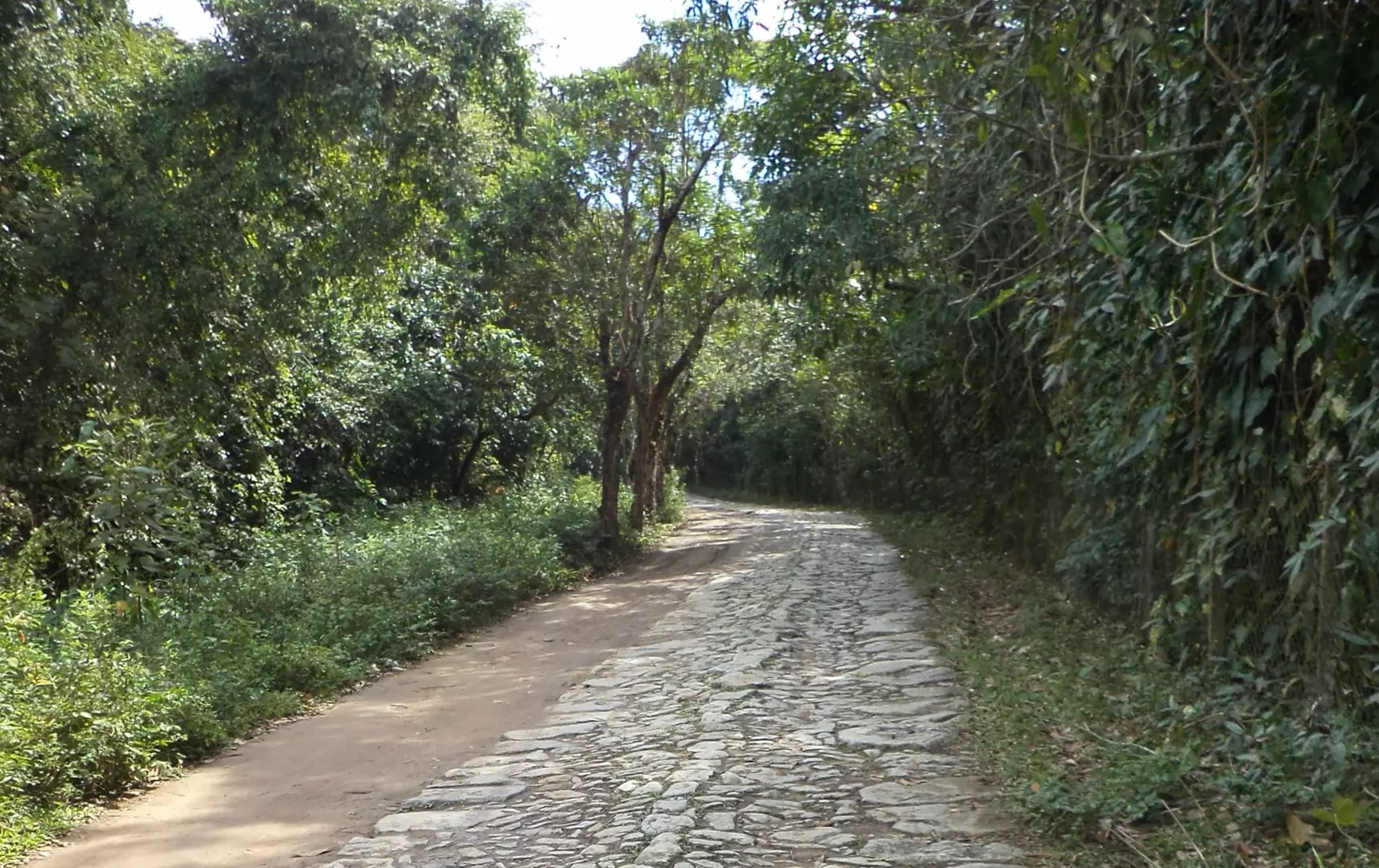 Estrada Real do Comércio: primeira via brasileira aberta para transporte do café