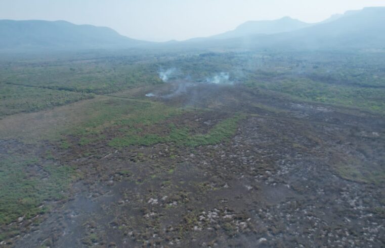 Onda de calor intenso pode causar incêndios no Pantanal, alerta cientista