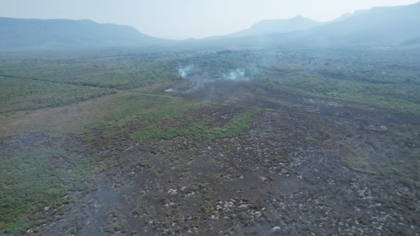 Onda de calor intenso pode causar incêndios no Pantanal, alerta cientista