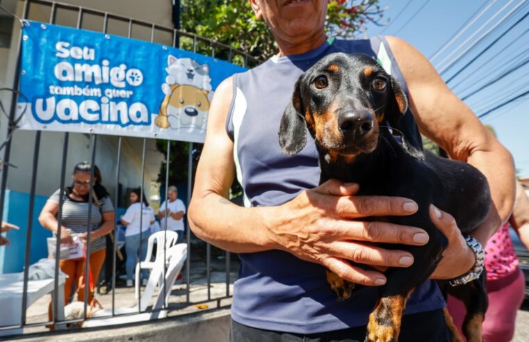 Zona Norte e Oeste recebem campanha de vacinação antirrábica nesse fim de semana