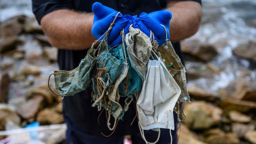 Restos de máscaras são encontrados dentro do estômago de tartaruga no ES